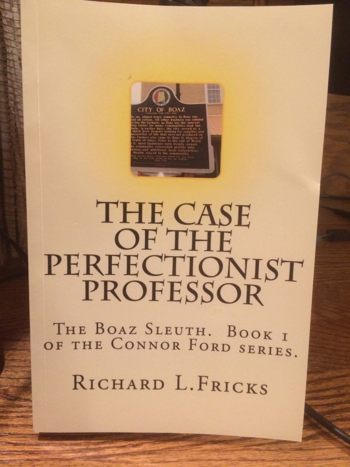 Novel Excerpts—The Case of the Perfectionist Professor, Chapter&nbsp;57