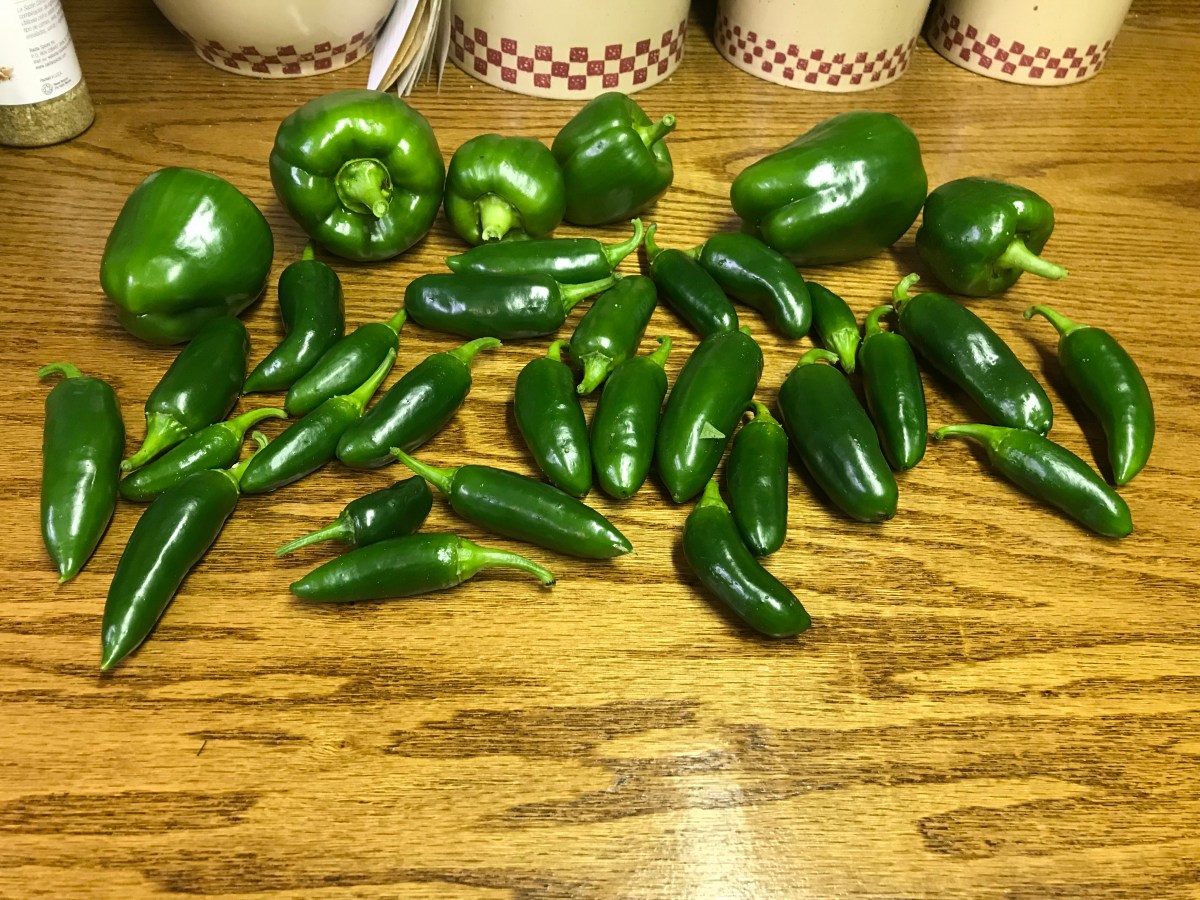 Sanity Snippet: Prodigious&nbsp;Peppers